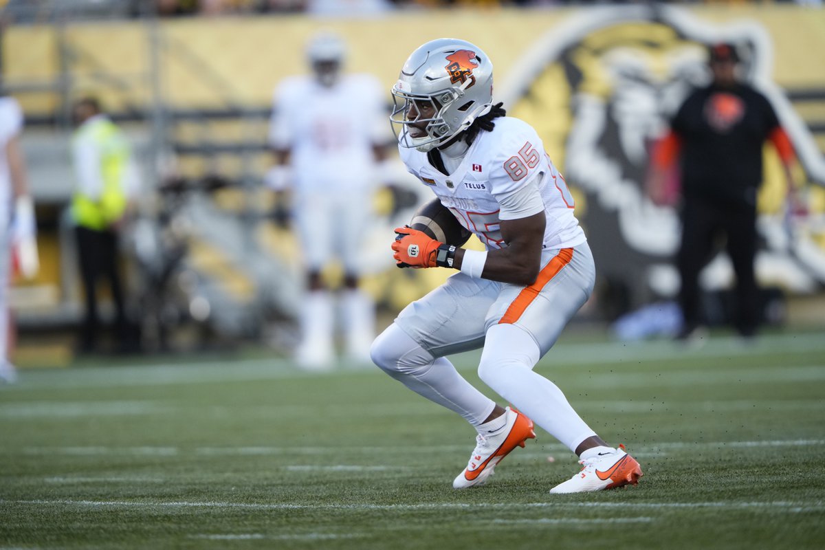 CFL // Nick Cenacle brille dans la défaite: 9 réceptions, 120 verges et 2&nbsp;touchés